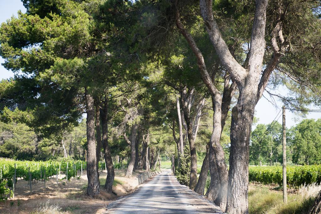 Chateau Canet Villa Rustiques Kültér fotó