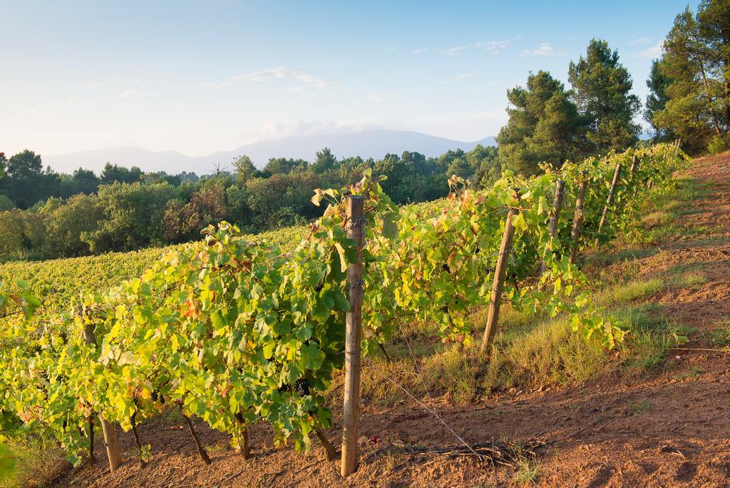 Chateau Canet Villa Rustiques Kültér fotó