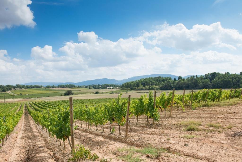 Chateau Canet Villa Rustiques Kültér fotó